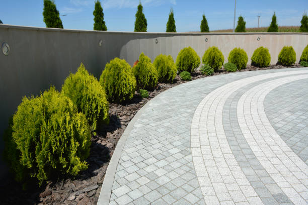Best Permeable Paver Driveway  in Tenaha, TX